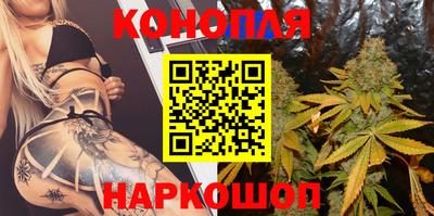 гидра Гусев