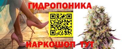 крисы Гусь-Хрустальный