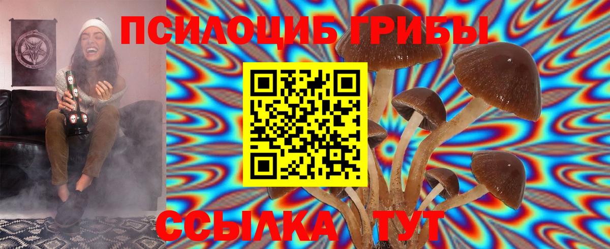 Псилоцибиновые грибы Magic Shrooms  Вход с VPN  Новочебоксарск 